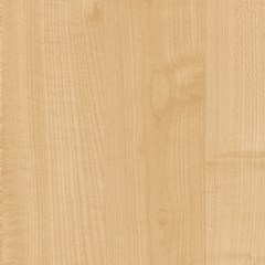 Prime Maple