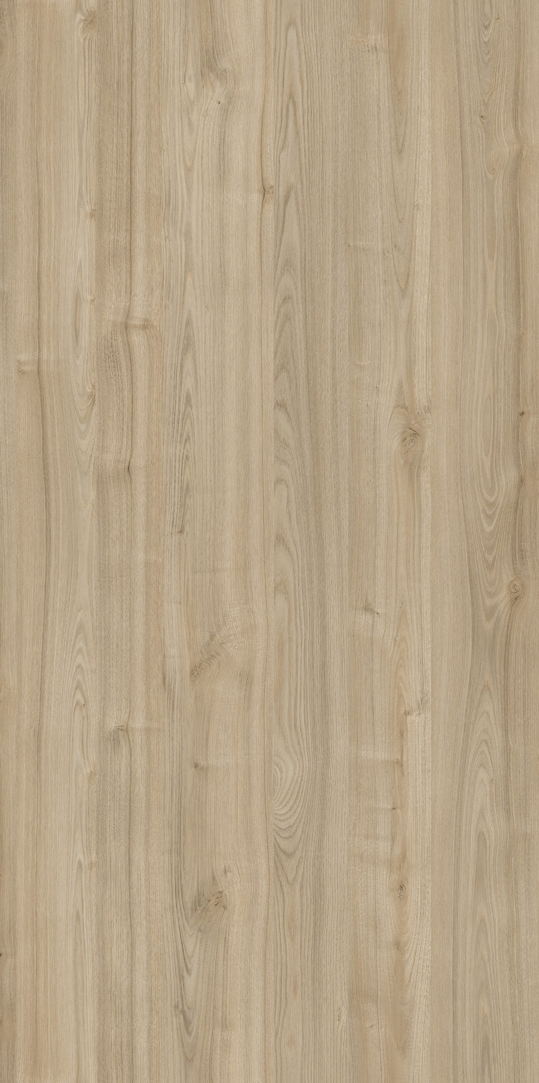 Ranfurly Oak - Raw