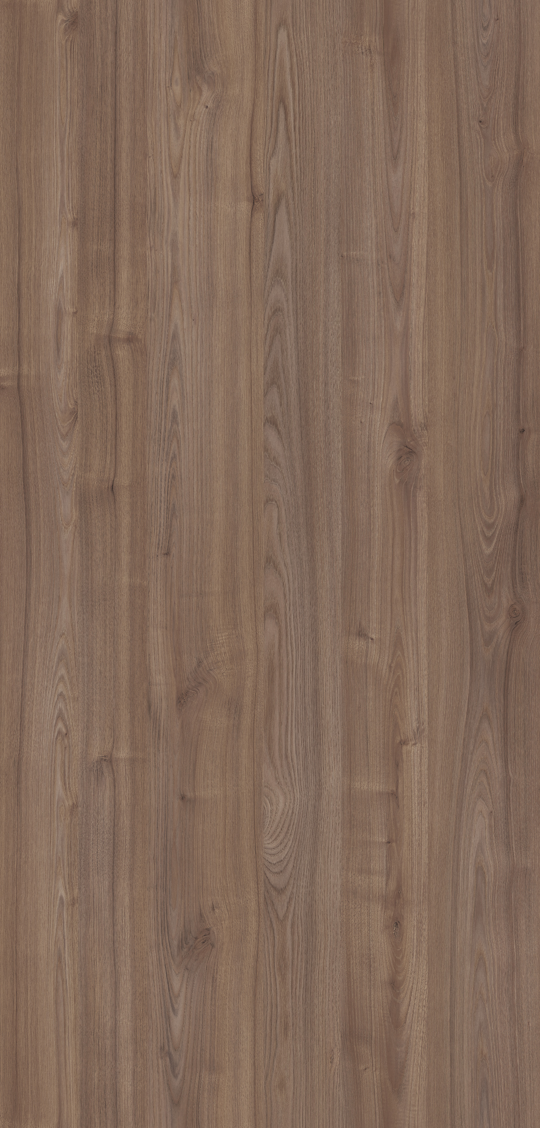 Methven Oak - Raw