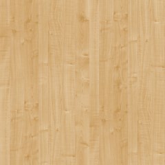 Prime Maple