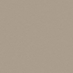 Champagne Metallic